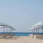 Amphora