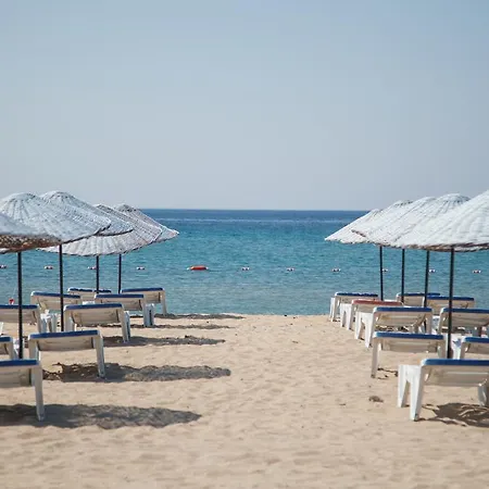 Hotell Amphora 3*